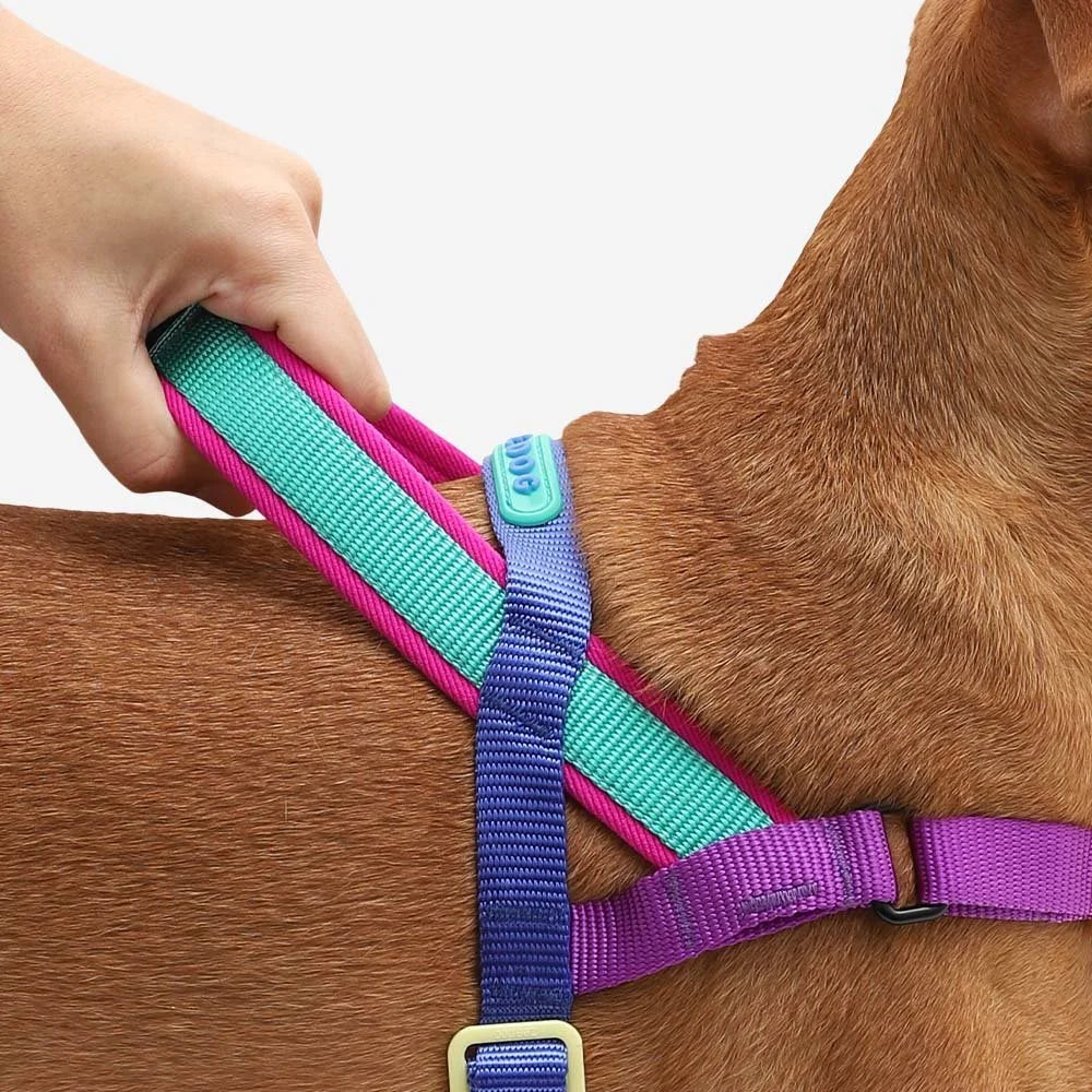 Shockwave | SofterWalk Harness Sheddingspetsupplies