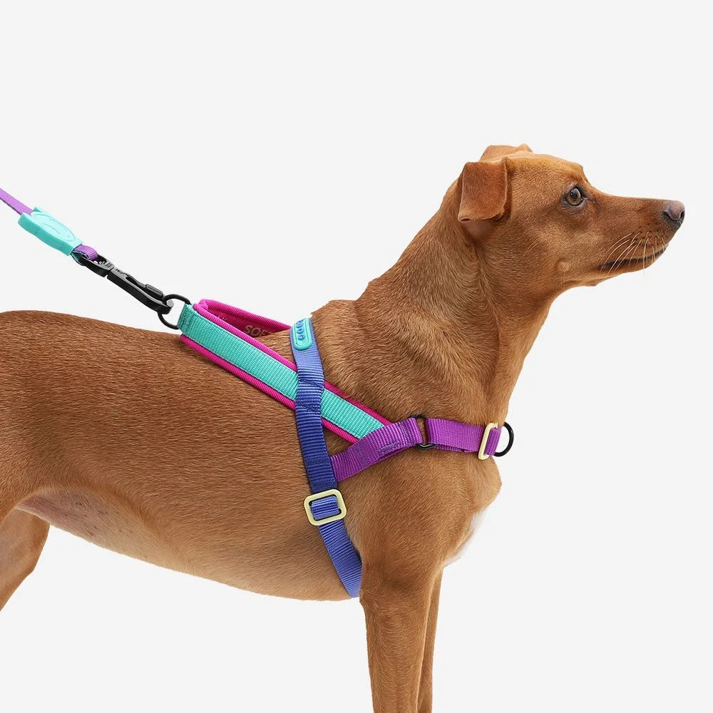 Shockwave | SofterWalk Harness Sheddingspetsupplies