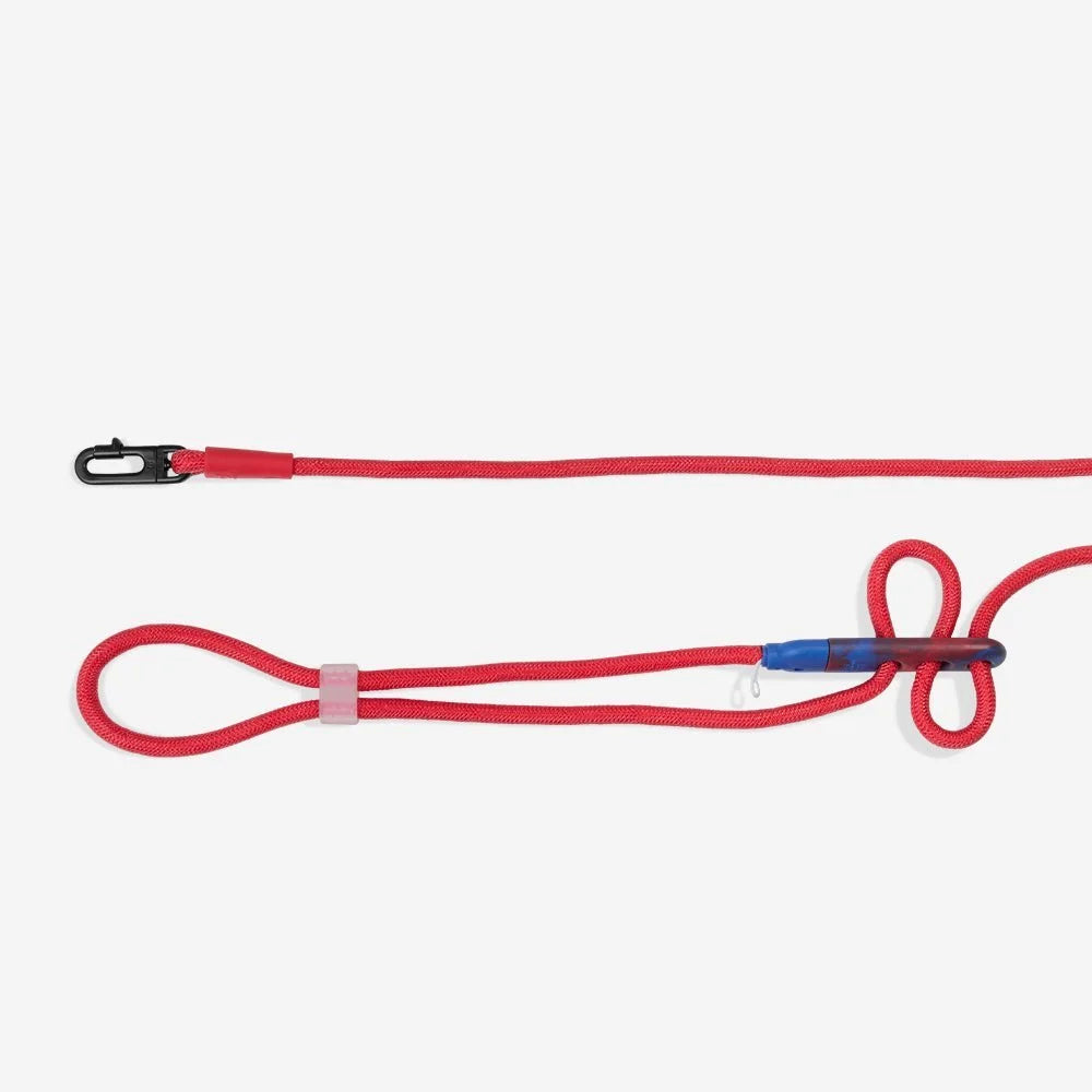 Spider-Man | Hands-Free Leash Sheddingspetsupplies