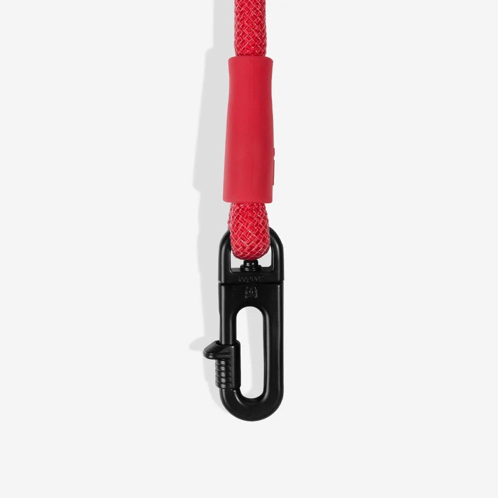 Spider-Man | Hands-Free Leash Sheddingspetsupplies