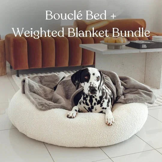 Bouclé Dog Bed & Weighted Blanket Bundle Sheddingspetsupplies