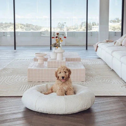 Bouclé Dog Bed & Weighted Blanket Bundle Sheddingspetsupplies
