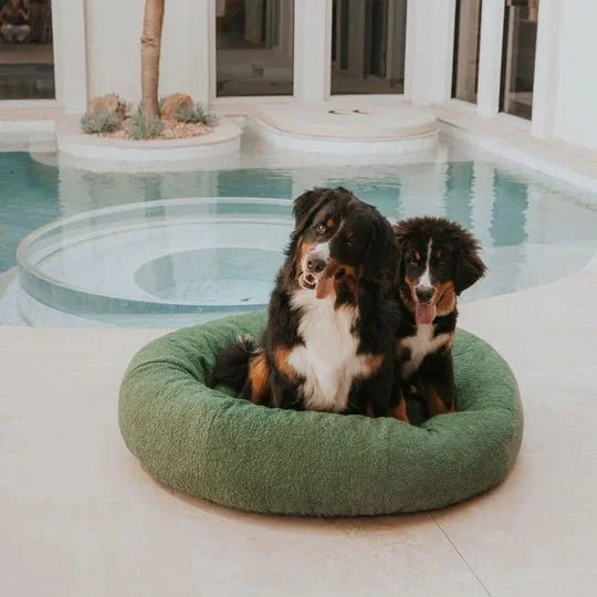 Bouclé Dog Bed & Weighted Blanket Bundle Sheddingspetsupplies