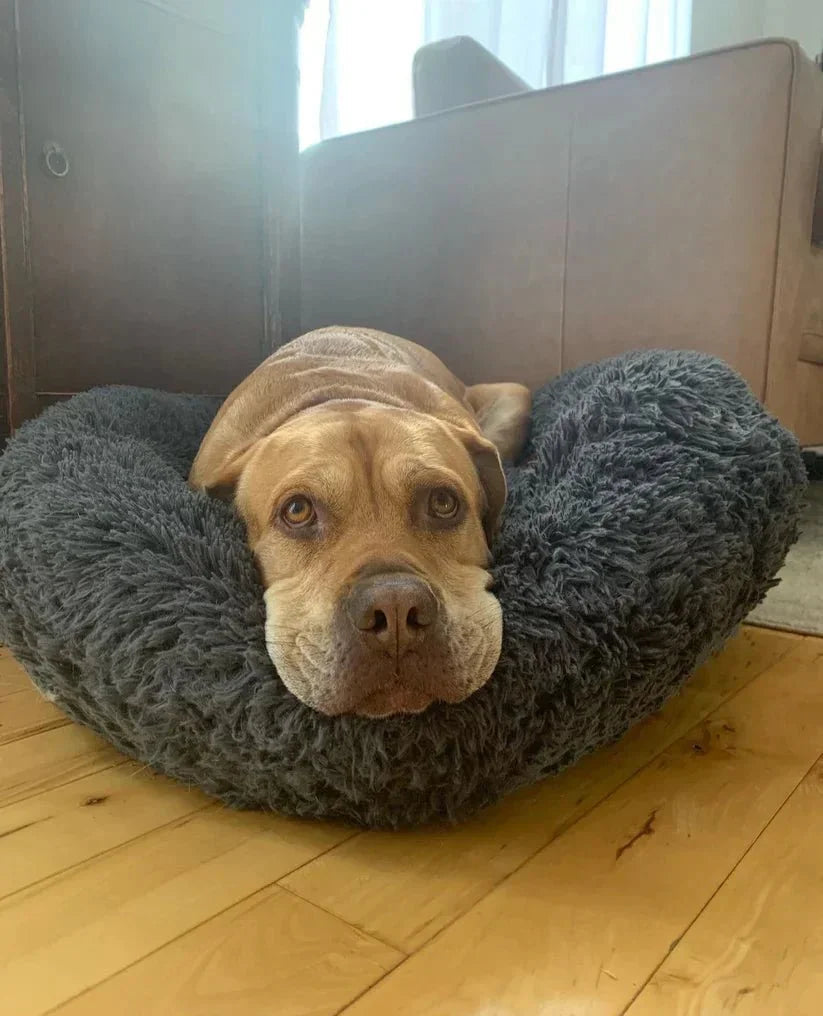 Calming Deep Sleep Pet Bed Sheddingspetsupplies