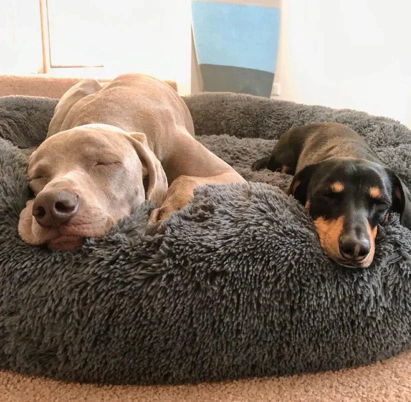 Calming Deep Sleep Pet Bed Sheddingspetsupplies
