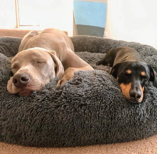 Calming Deep Sleep Pet Bed Sheddingspetsupplies