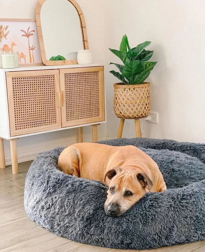 Calming Deep Sleep Pet Bed Sheddingspetsupplies