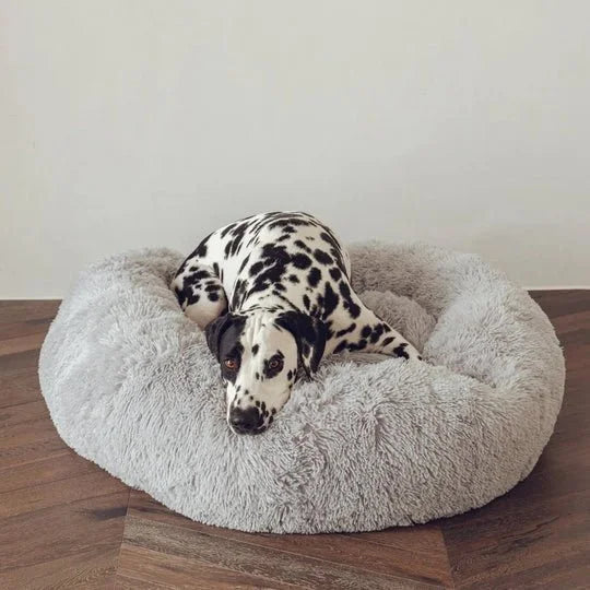 Calming Dog Bed & Cover Bundle Sheddingspetsupplies