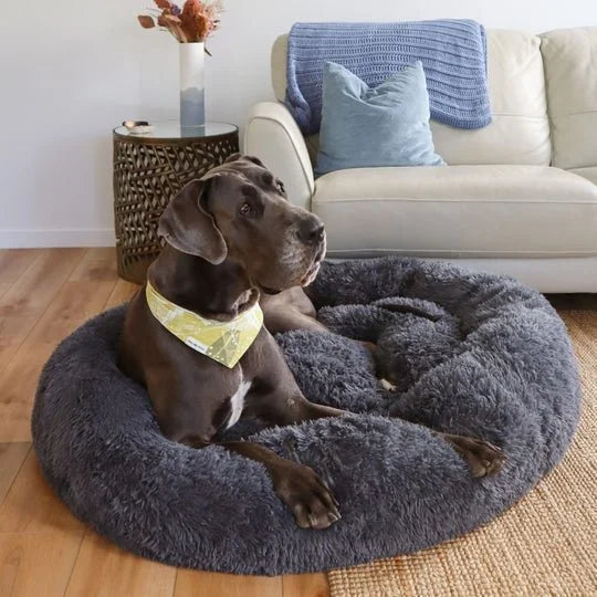 Calming Dog Bed & Cover Bundle Sheddingspetsupplies