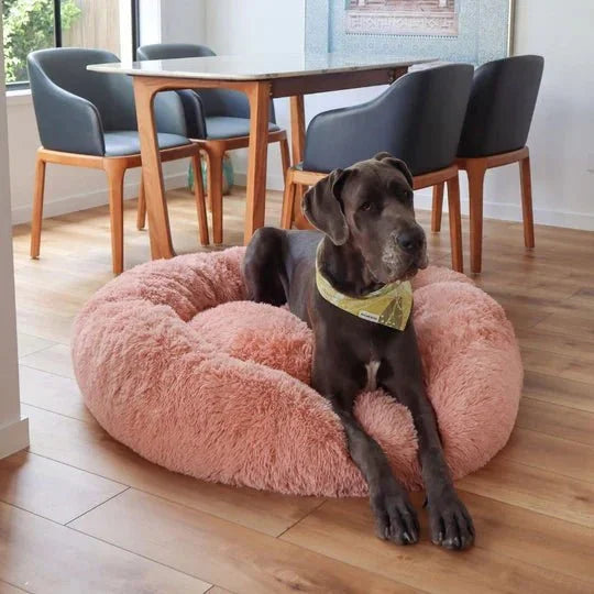 Calming Dog Bed & Cover Bundle Sheddingspetsupplies