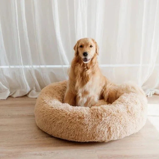 Calming Dog Bed & Cover Bundle Sheddingspetsupplies