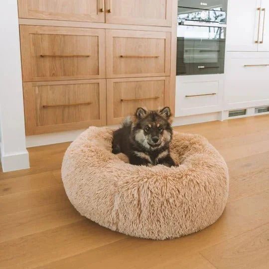 Calming Dog Bed & Cover Bundle Sheddingspetsupplies