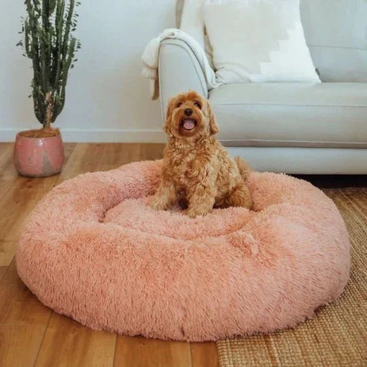 Calming Dog Bed & Cover Bundle Sheddingspetsupplies