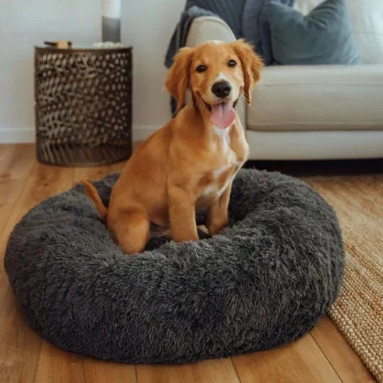 Calming Dog Bed & Cover Bundle Sheddingspetsupplies