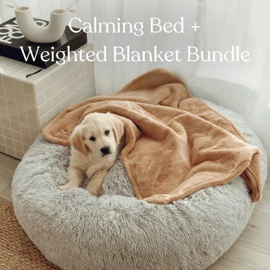 Calming Dog Bed & Weighted Blanket Bundle Sheddingspetsupplies