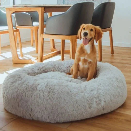 Calming Dog Bed & Weighted Blanket Bundle Sheddingspetsupplies
