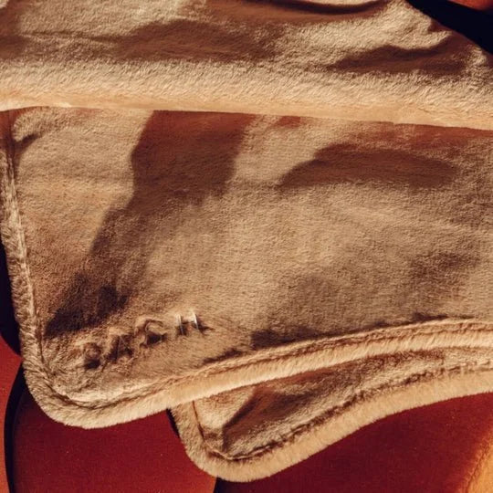 Double Weighted Luxury Blanket Sheddingspetsupplies