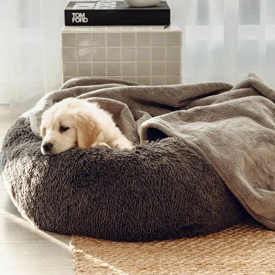 Double Weighted Luxury Blanket Sheddingspetsupplies
