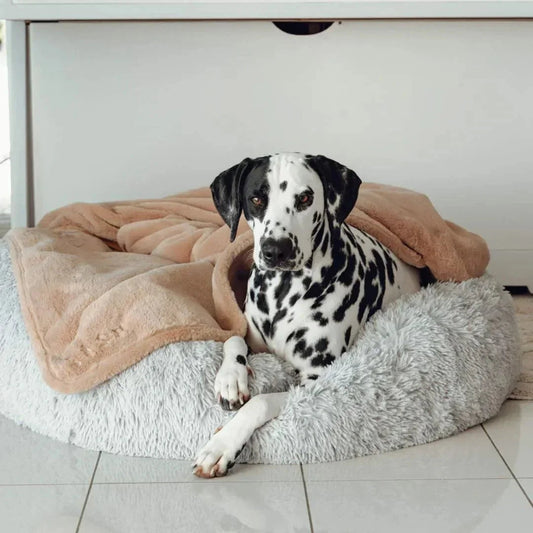 Double Weighted Luxury Blanket Sheddingspetsupplies