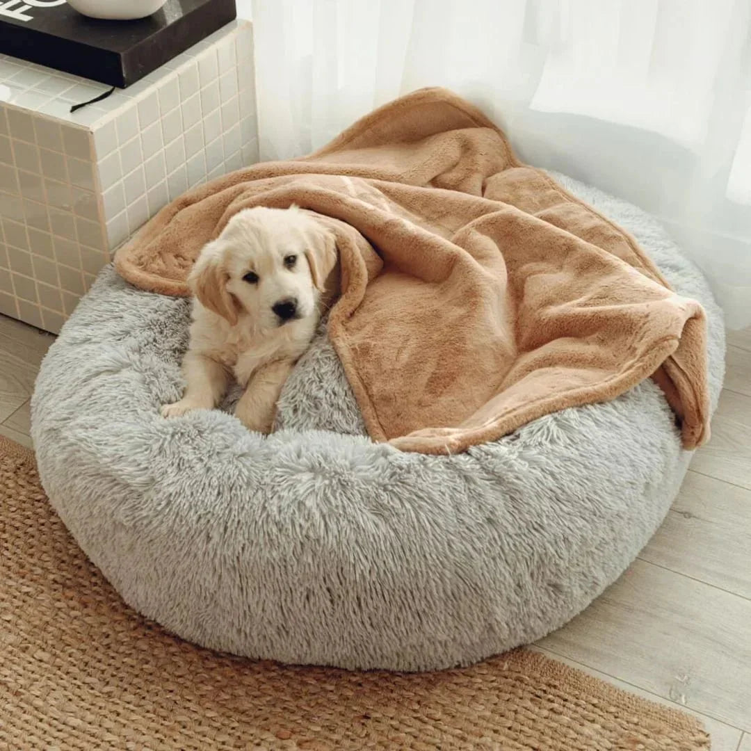 Double Weighted Luxury Blanket Sheddingspetsupplies