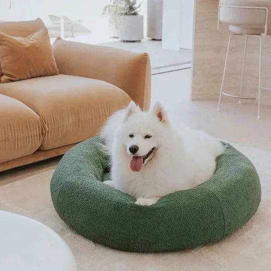 Luxury Boucle Dog Bed Sheddingspetsupplies