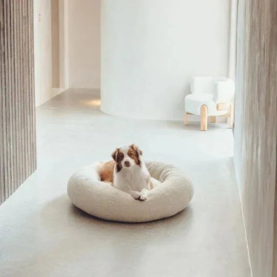 Luxury Boucle Dog Bed Sheddingspetsupplies