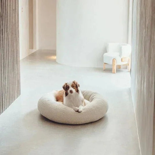 Luxury Boucle Dog Bed Sheddingspetsupplies