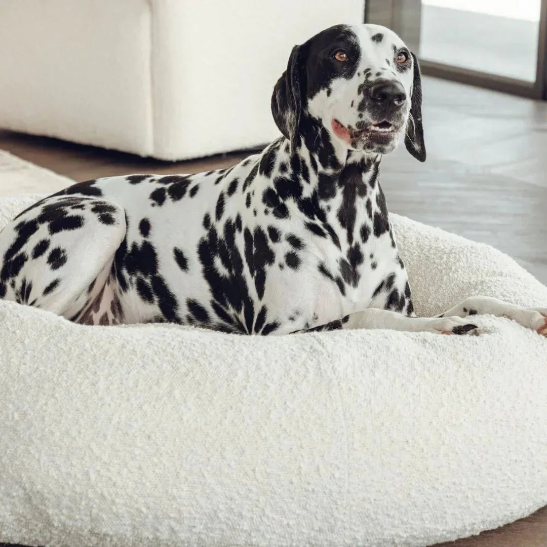 Luxury Boucle Dog Bed Sheddingspetsupplies