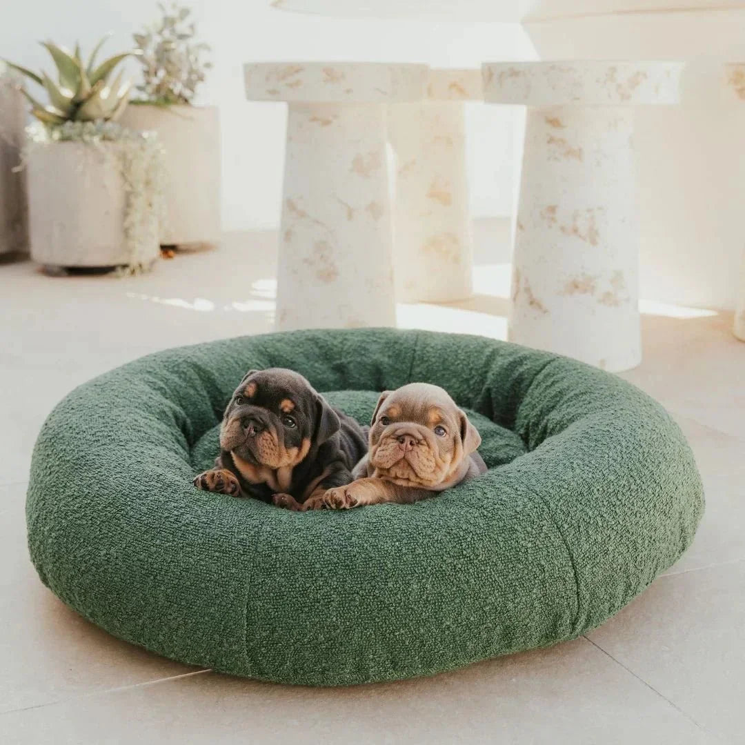 Luxury Boucle Dog Bed Sheddingspetsupplies