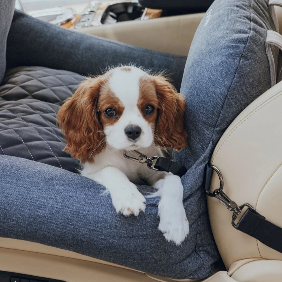 Premium Dog Car Bed Sheddingspetsupplies