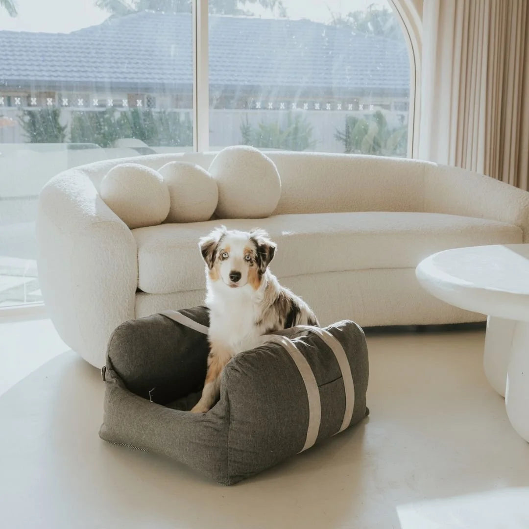 Premium Dog Car Bed Sheddingspetsupplies
