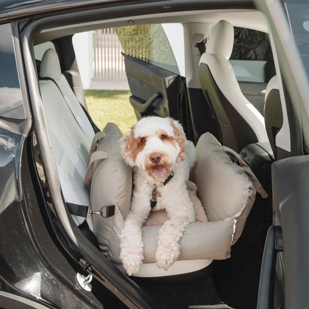 Premium Dog Car Bed Sheddingspetsupplies