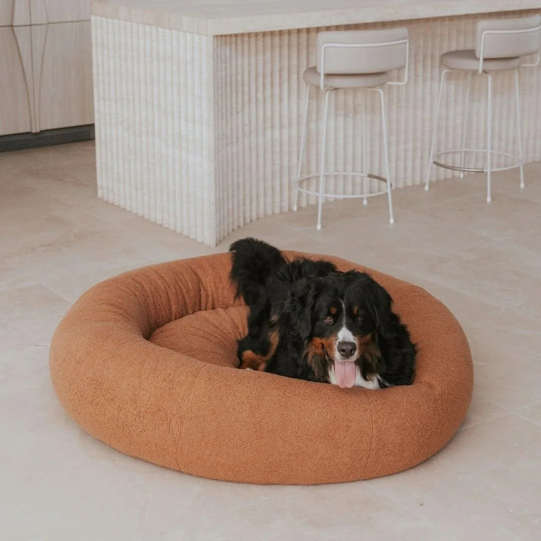 Premium Teddy Bed Sheddingspetsupplies