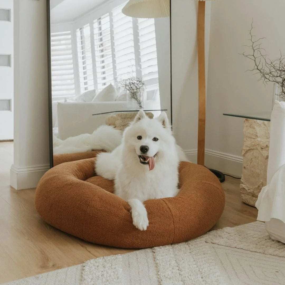 Premium Teddy Bed Sheddingspetsupplies