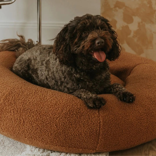Premium Teddy Bed Sheddingspetsupplies