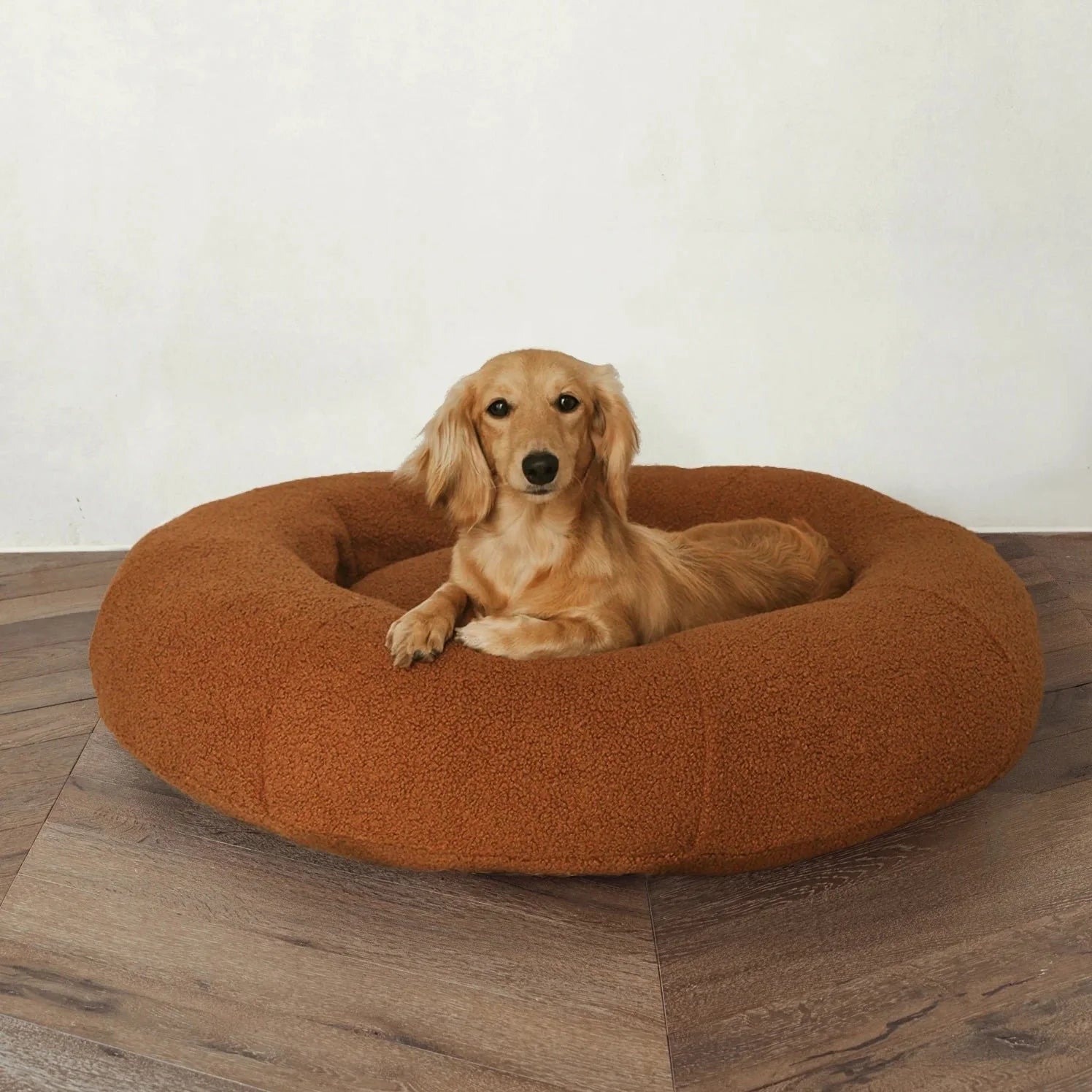 Premium Teddy Bed Sheddingspetsupplies