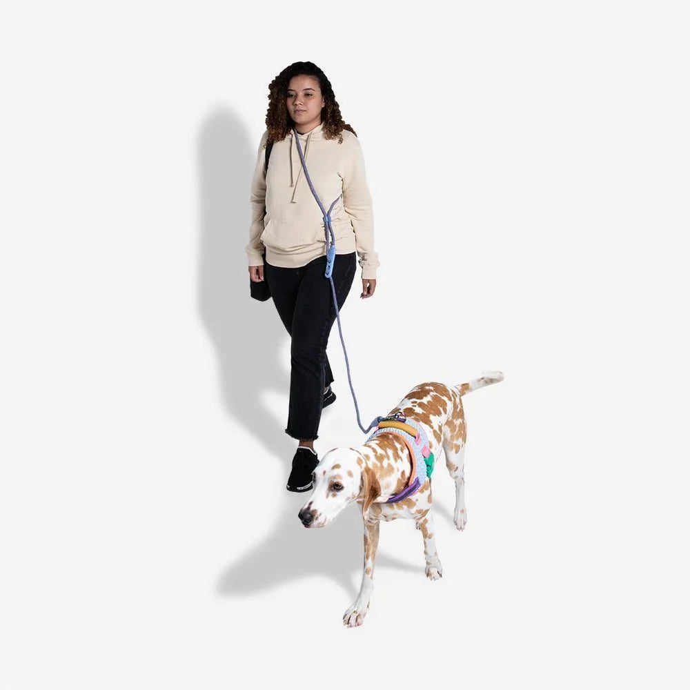 Andromeda | FlexiWalk Leash Sheddingspetsupplies
