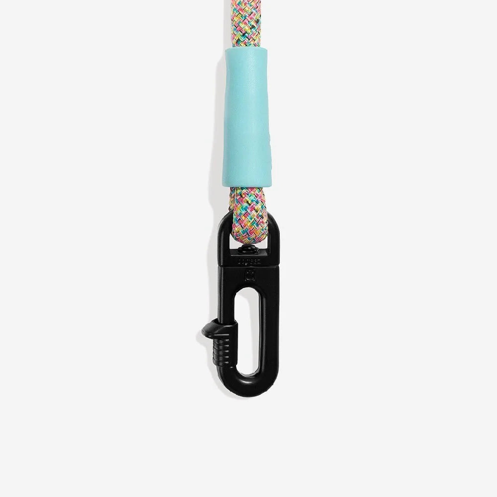 Gravity | FlexiWalk Leash Sheddingspetsupplies