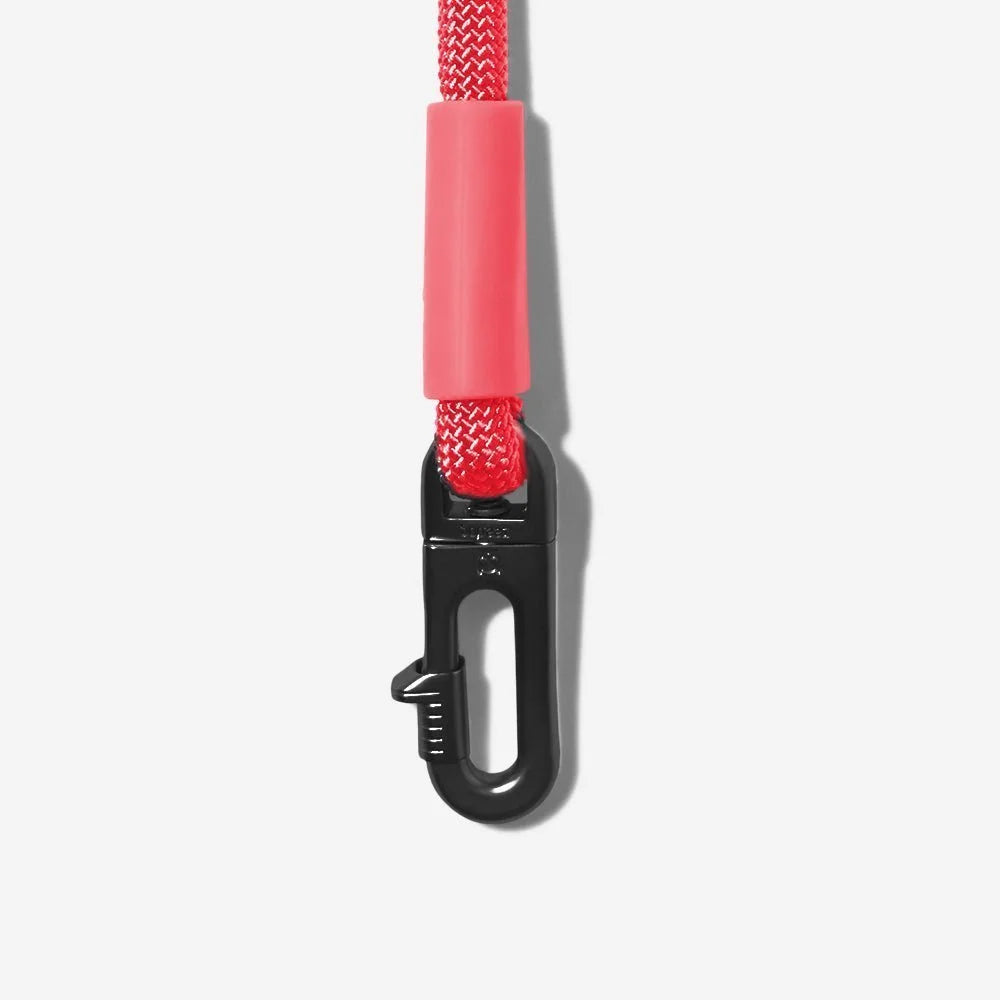 Neon Coral | FlexiWalk Leash Sheddingspetsupplies