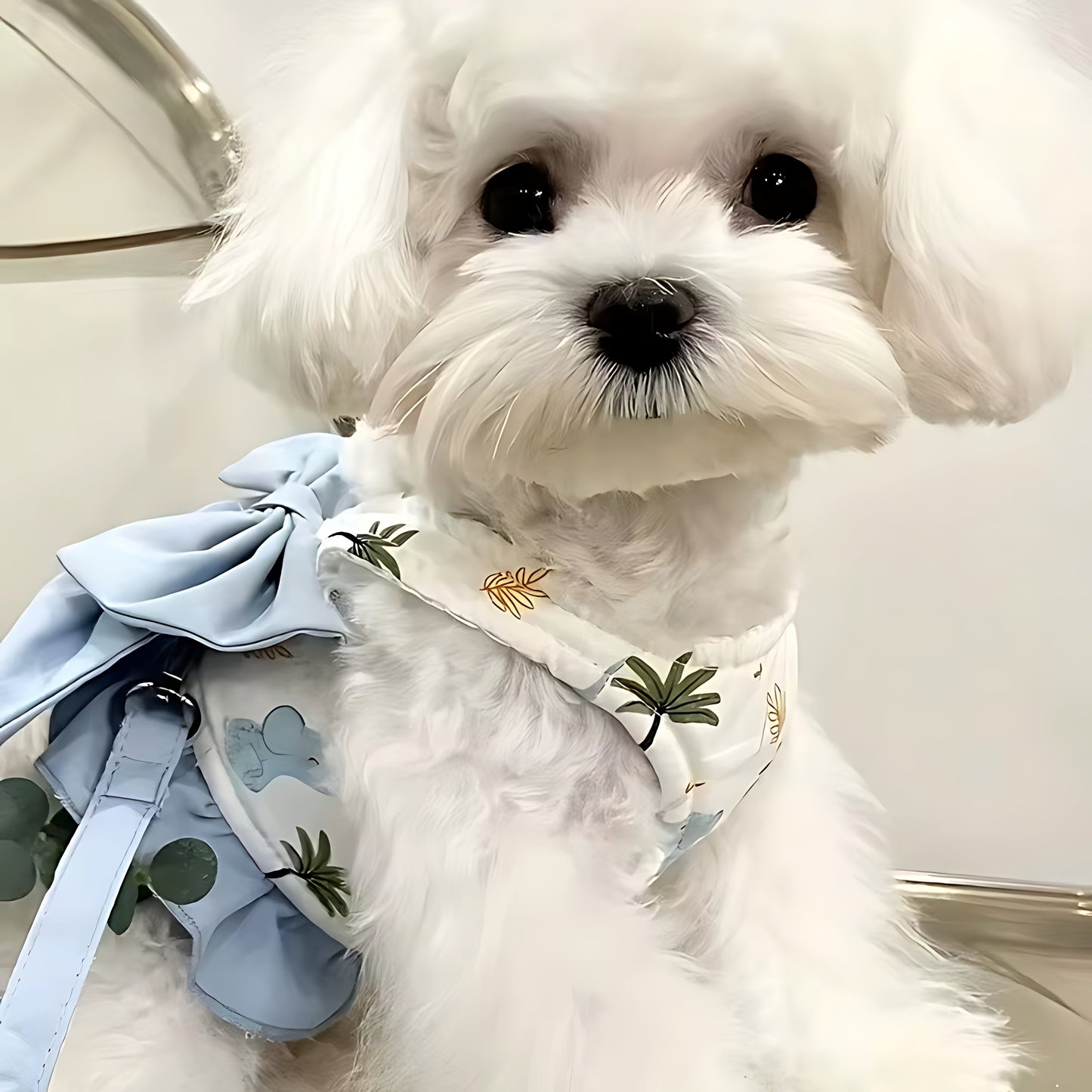 Breathable Dog Vest Harness with Matching Collar & Lead Sheddingspetsupplies