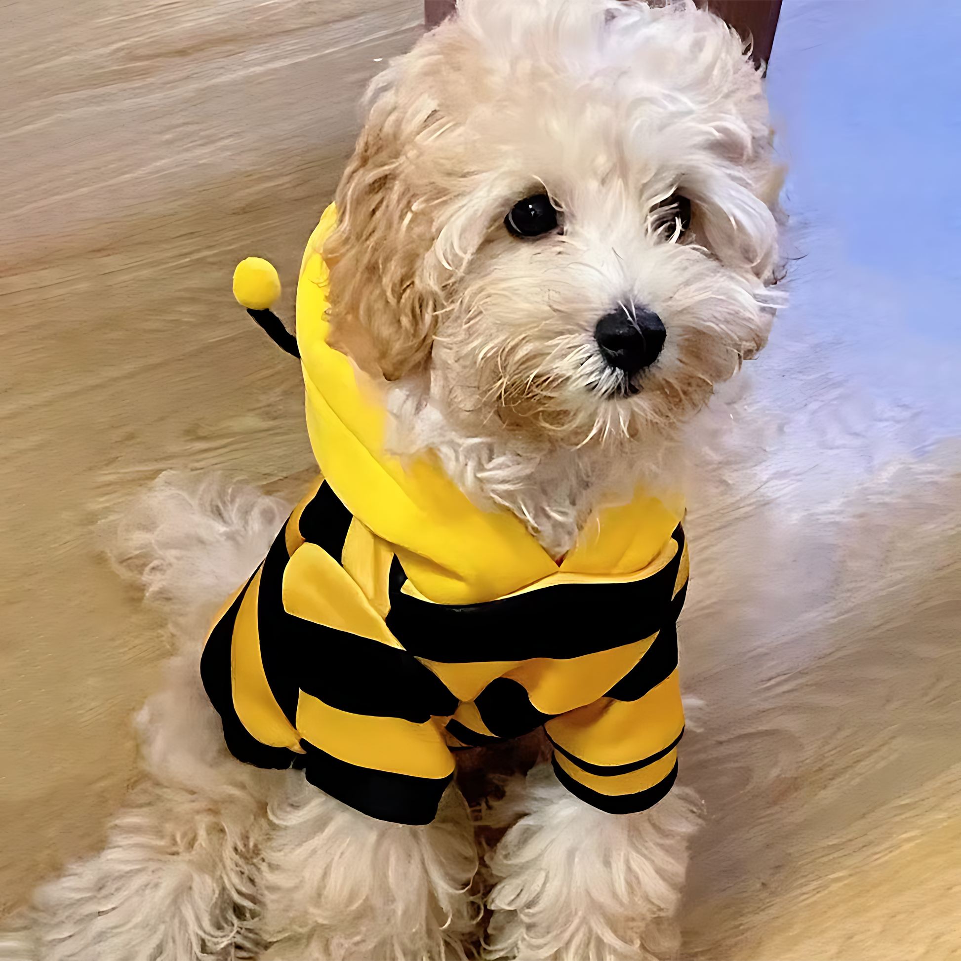 Cute Bee Pet Hoodie – Warm Winter Costume for Dogs & Cats Sheddingspetsupplies