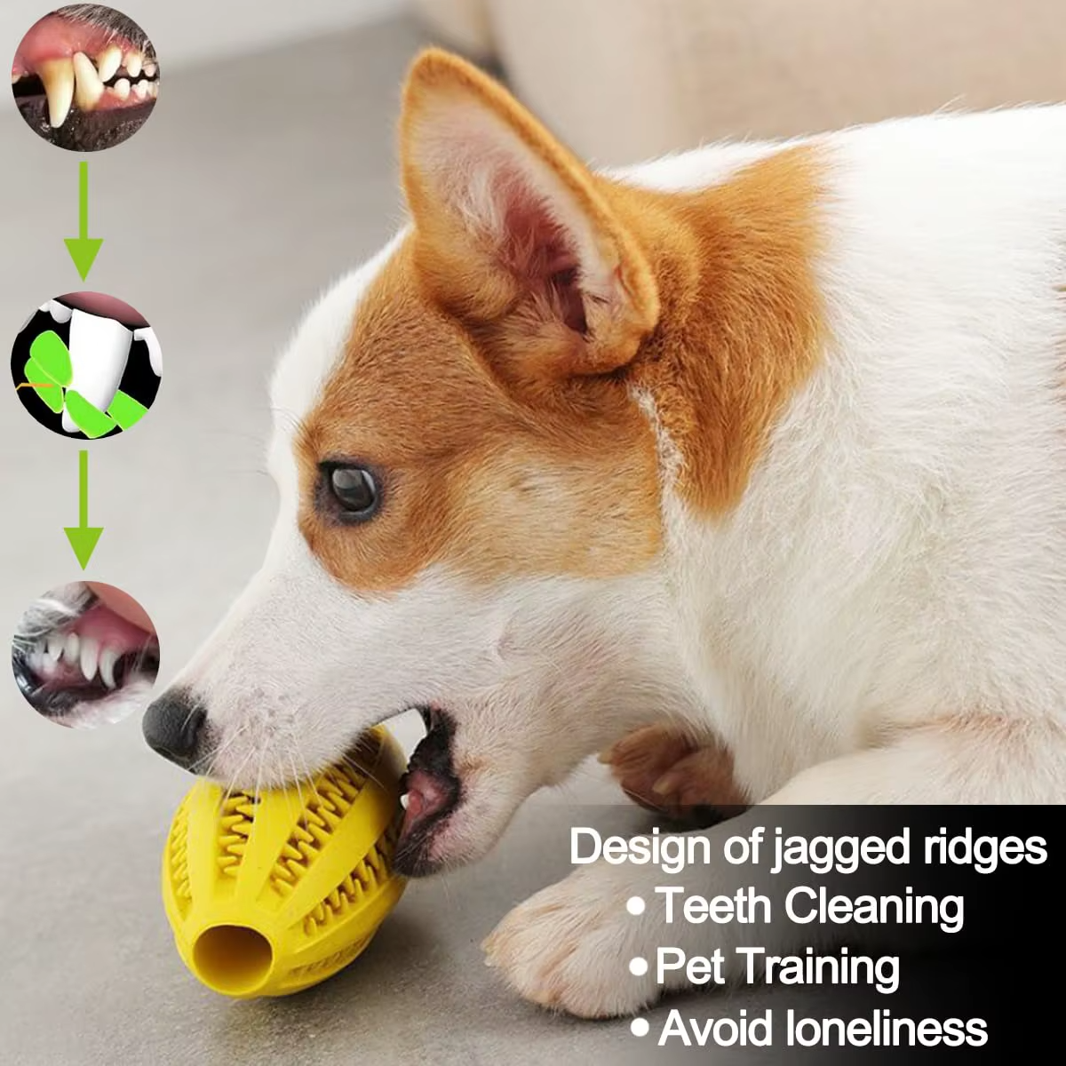 Durable Rubber Dog Treat Ball – Interactive Bouncy Chew Toy Sheddings Pet Supplies