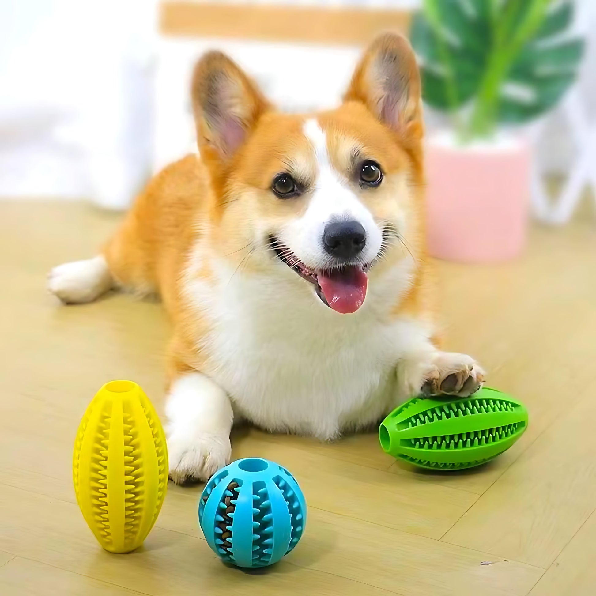 Durable Rubber Dog Treat Ball – Interactive Bouncy Chew Toy Sheddings Pet Supplies