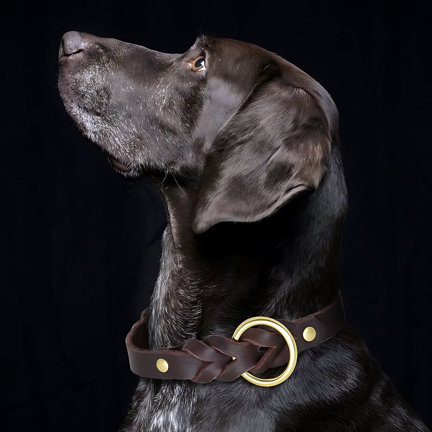 Genuine Leather Dog Collar & Leash Set – Braided Heavy Duty Lead for Medium & Large Dogs Sheddings Pet Supplies