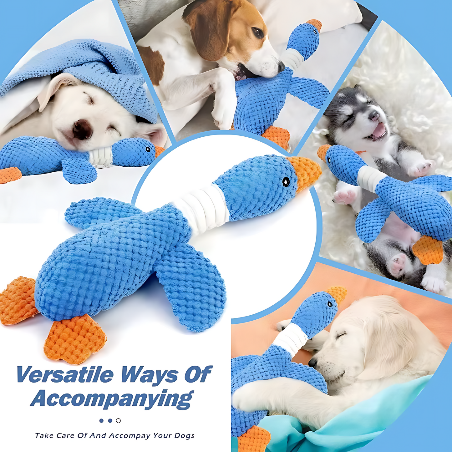 Interactive Plush Dog & Cat Toy – Squeaky Durable Chew Toy Sheddingspetsupplies