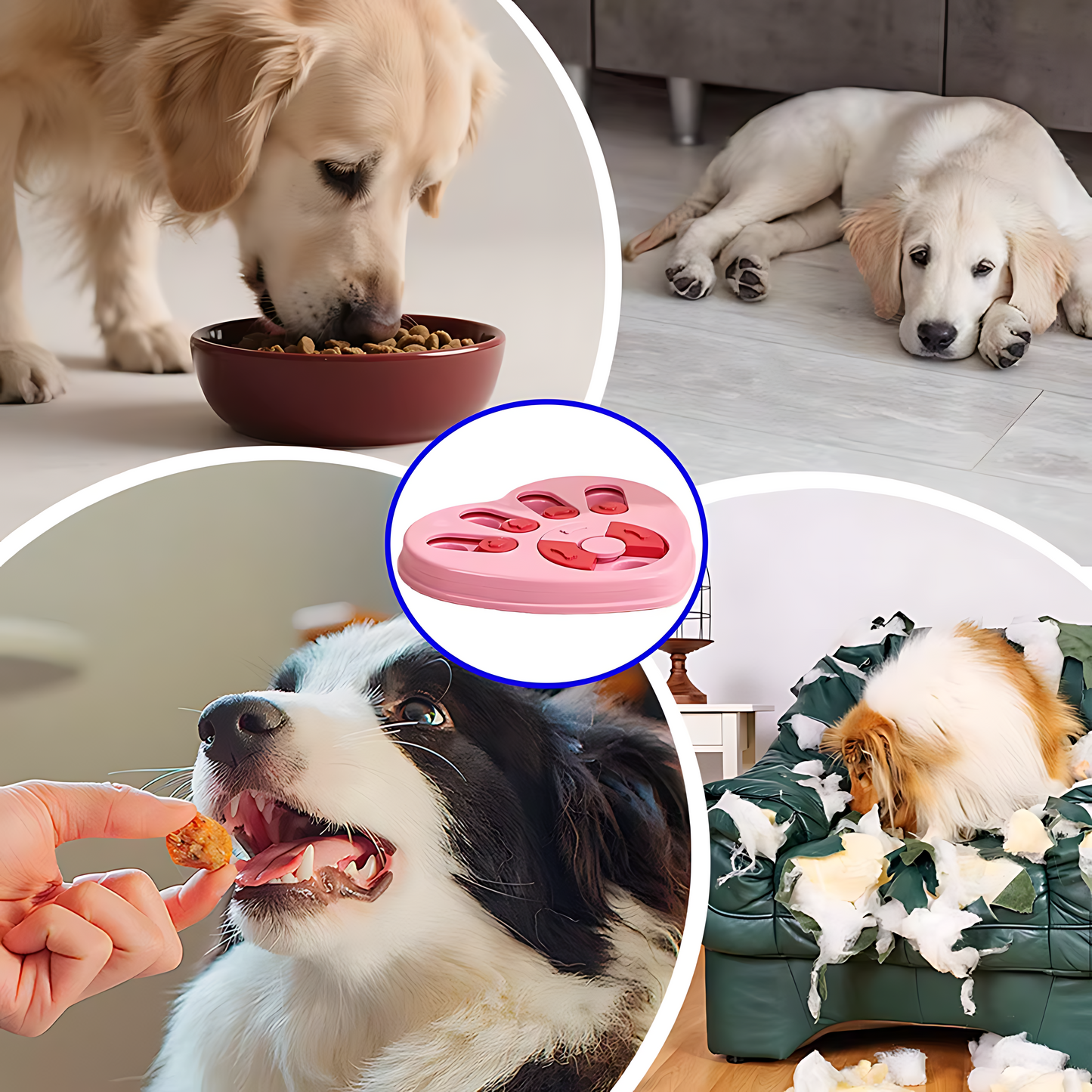 Interactive Dog Puzzle Bowl Slow Feeder For Digestion Sheddings Pet Supplies