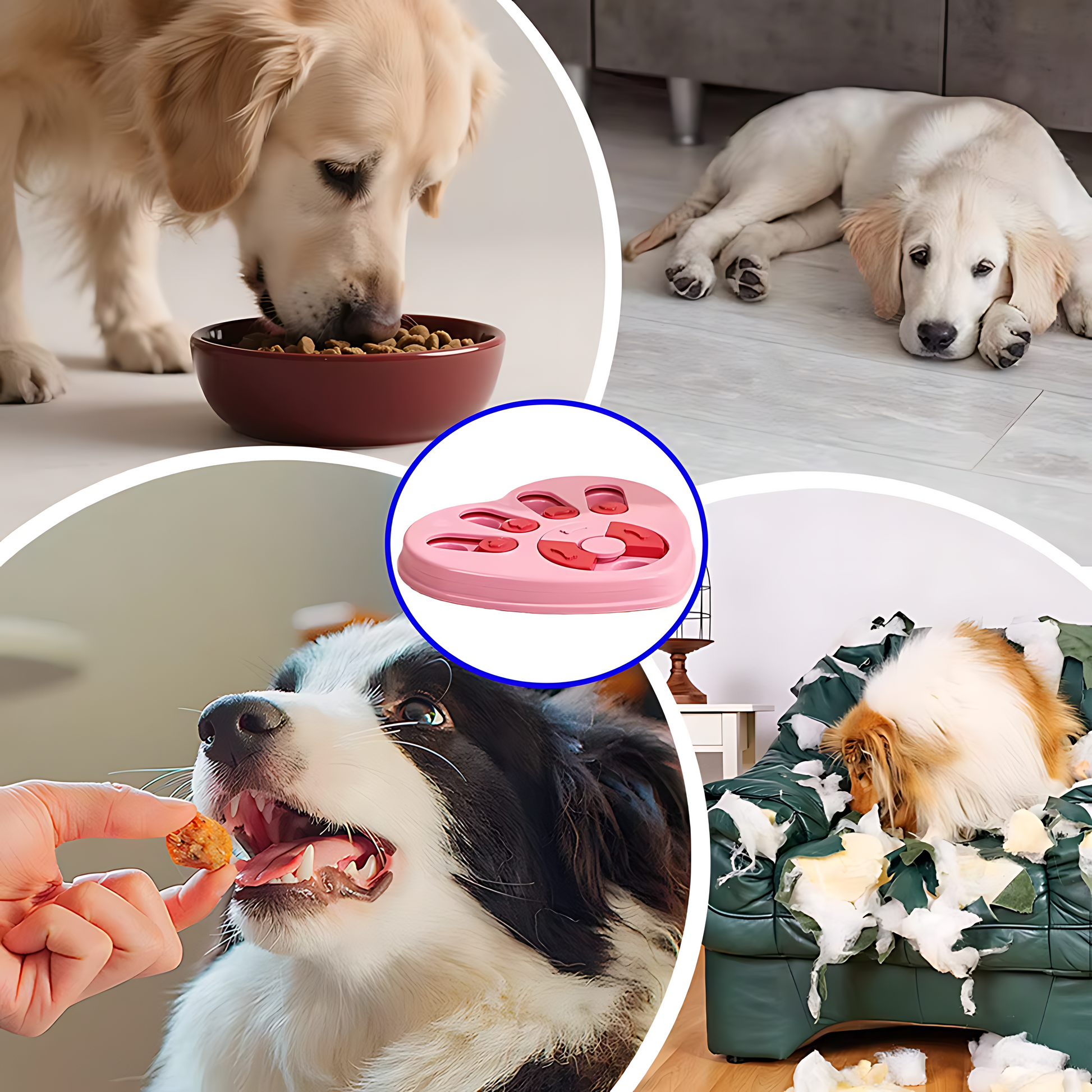 Interactive Dog Puzzle Bowl Slow Feeder For Digestion Sheddings Pet Supplies