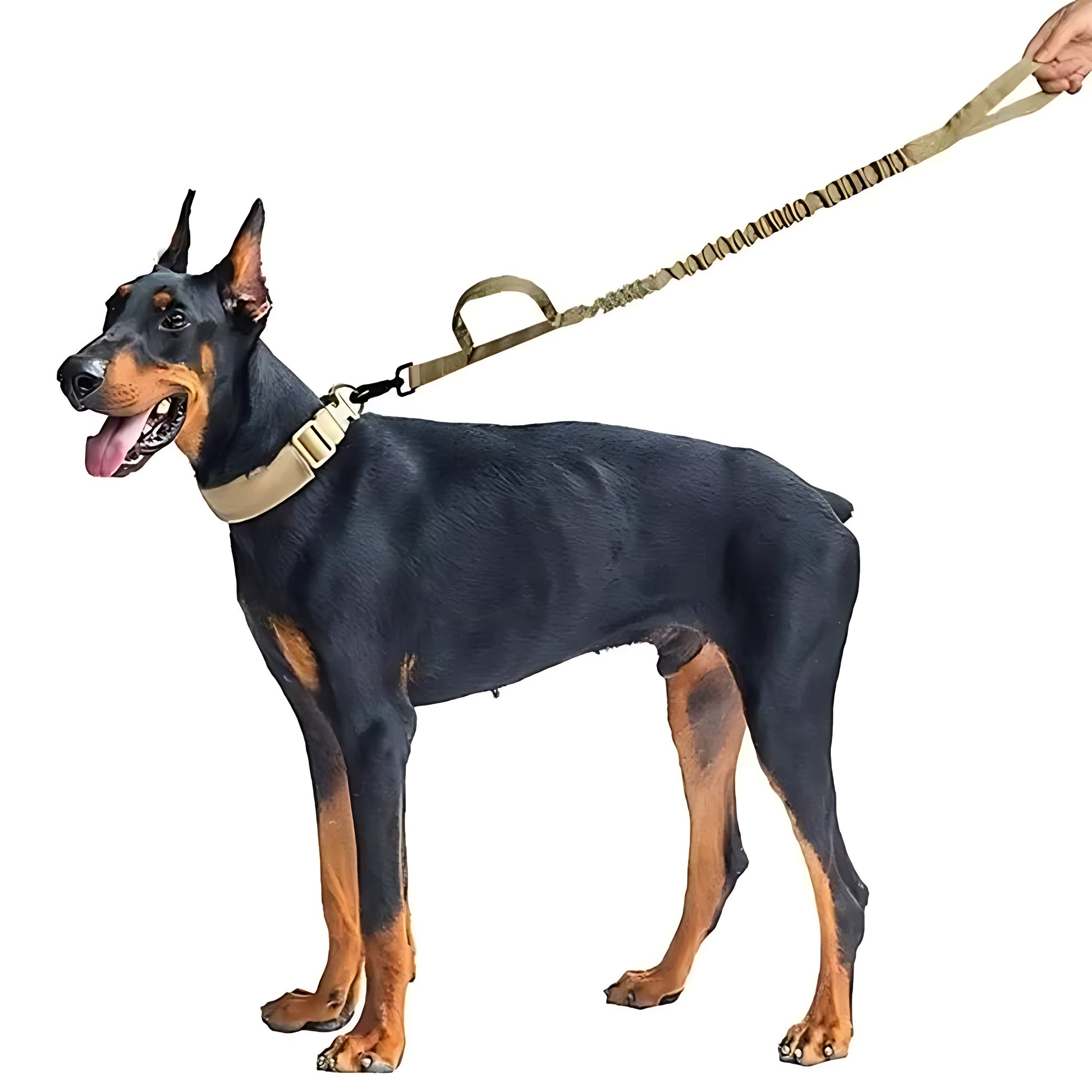 Military Style Dog Collar and Lead Set – Strong Tactical Nylon Leash Sheddingspetsupplies