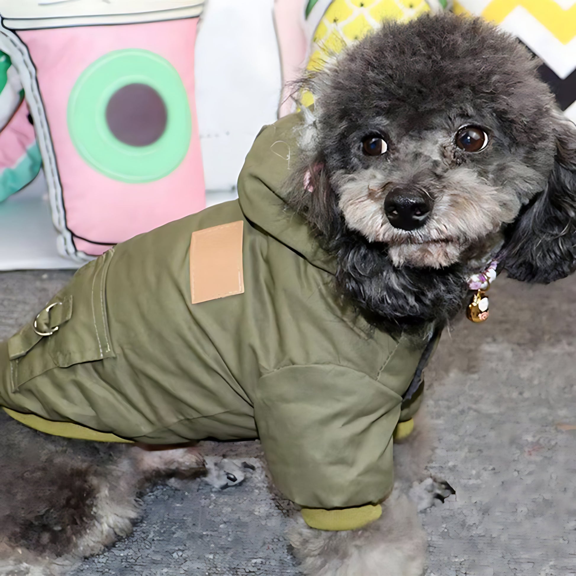 Winter Dog Hoodie Coat – Soft Warm Jacket for Small & Medium Dogs Sheddingspetsupplies